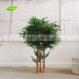 GNW BLS161024 Fake Cherry Trees 8ft High Cherry Blossom Decorative Tree thumbnail-2