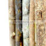 Wooden Pen Holder. Wood Branch Pen Pot, Square Wood Pen Holder thumbnail-3