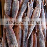 Frozen Illex Squid For Bait thumbnail-2