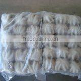 Baby Octopus/ Frozen Baby Octopus thumbnail-4