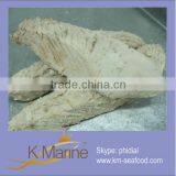 New Auxis Thazard Loin Lot Number#kml4011 thumbnail-1