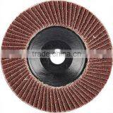 Flap Disc thumbnail-1