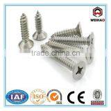 Hot Selling High Qualiy Stainless Steel Screw thumbnail-1