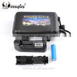 Custom Logo 395nm UV Led Flashlight Kit Mini Aluminum Alloy UV LED Flashlight Torch Set thumbnail-2