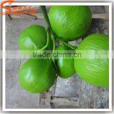 Handmade Wholesale Green Fake Coconuts for Sale thumbnail-3