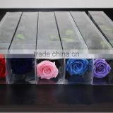 Wholesale Factory Price Real Fresh Flower Natural Preserved Roses With Long Stem