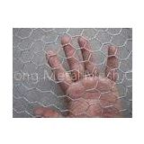 Decorative Metal Hexagonal 2 Inch Wire Mesh , Chicken Wire Poultry Netting