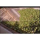 Coconut Processing Line