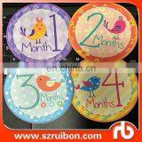 Baby Monthly Stickers With Matt Finish,baby Shower Gift thumbnail-3