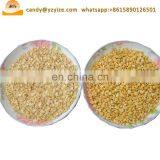 Mung Bean Peeling Machine / Fava Beans Peeler / Bean Peeler Machine thumbnail-5