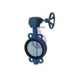 butterfly Valve with Painting CBF02-TA07 Sizes: 2