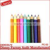 Disney Universal FAMA BSCI Carrefour Factory Audit Water Glitter Color Pencil thumbnail-1