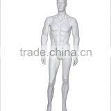 Male Mannequin,fiberglass Mannequin,new Style Mannequins
