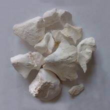 Manufacturer Sell Low Price Calcined Bone Ash or Powder thumbnail-1