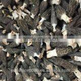 High Quality Dried Wild Morchella/Morel Mushroom From Yunnan China thumbnail-3