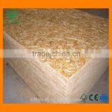 High Quality Non-defect OSB From China Manufacturer for Fence thumbnail-5