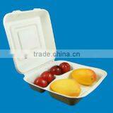 Christmas Kitchen Dinner Biodegadable Disposable Green Sandwich Box With Cavity
