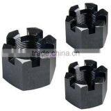 Professional Manufacture Din935 Hex Slotted Nuts thumbnail-2