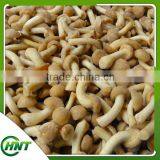 High Quality Top Quality Frozen Fresh Nameko thumbnail-1