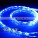Red/Yellow/Blue/Green/White/RGB LED Rope Light F3 36PCS Rope Light