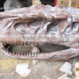 Hot Sale Fiberglass Life Size Dinosaur Skull