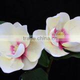 New Arrival Wholesale Artifiicial Kapok Flowers With Long Stem thumbnail-3