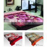 2015 NEW DESIGNS 1ply&2ply Raschel Quality Hot Compressed Embossed Raschel Korean Style Blanket NO.15001 thumbnail-5