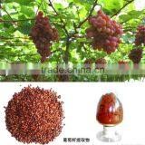 Top Quality Pure Nature Red Wine Extract Powder thumbnail-3