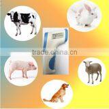 Instant Read Veterinary Infrared Thermometer thumbnail-2