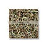 Eclipta Alba / Bhringraj