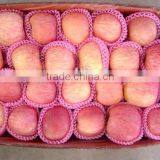 Fuji Apple for Mid-east Market