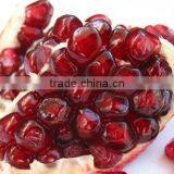POMEGRANATE thumbnail-5
