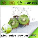 100% Natural Organic Dried Kiwi Fruit Powder thumbnail-5