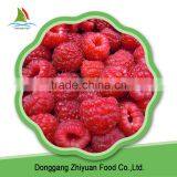 2016 New Crop IQF Frozen Raspberry on Sale thumbnail-2