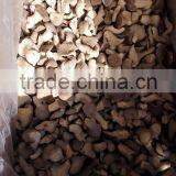 Top Quality China Mushroom With Good Price thumbnail-4