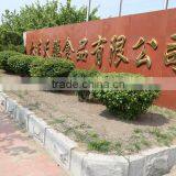 High Value Unique Technology Curry thumbnail-3