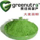 Natural Wheat Grass Powder thumbnail-2