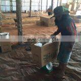 White Charcoal thumbnail-4