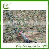 CYLR Independent Design Agriculture Drip Irrigation System For Saving Water thumbnail-2
