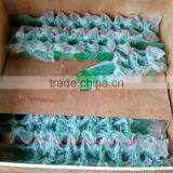 AA37552, AA37839, Closing Wheel Arm, Planter Parts thumbnail-4