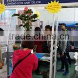 A11 Low Noise Pot Plant and Flower Danish Trolley Carts thumbnail-6