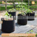 Round Felt Grow Bag Garden Black Felt Round Planters With Handles thumbnail-3