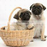 Function Handmade Pet Basket/eco Friendly Pet Bed thumbnail-1