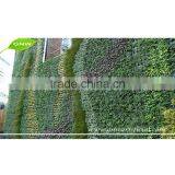 GNW GLW005 Green Wall Building Artificial Popular Outdoor Plants for Outdoors for Hotel Decoration