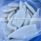 Suqid Tube of Frozen Giant Squid thumbnail-1