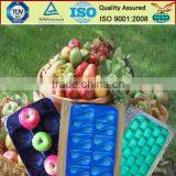 China Professional Manufacturer&Exporter Cheap Food Grade Disposable Soft Thin Plastic Serving PP Fruit Tray thumbnail-6