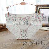 Fashion Women Panties/ Sexy Ladies Underpant/ Lingerie Underwear thumbnail-1