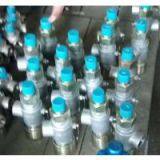 Spring Loaded Low Lift External Thread Safety Valve thumbnail-3