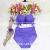 Blue Snow Flake Smooth Wireless Pushup Seamless Sexy Bra / Ynxg Seamless Shiny Bra / Top Quality Women Bra