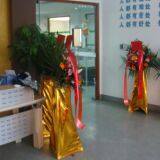 Shenzhen Following Wei Electronic Co., LTD. company overview - view 1 thumbnail